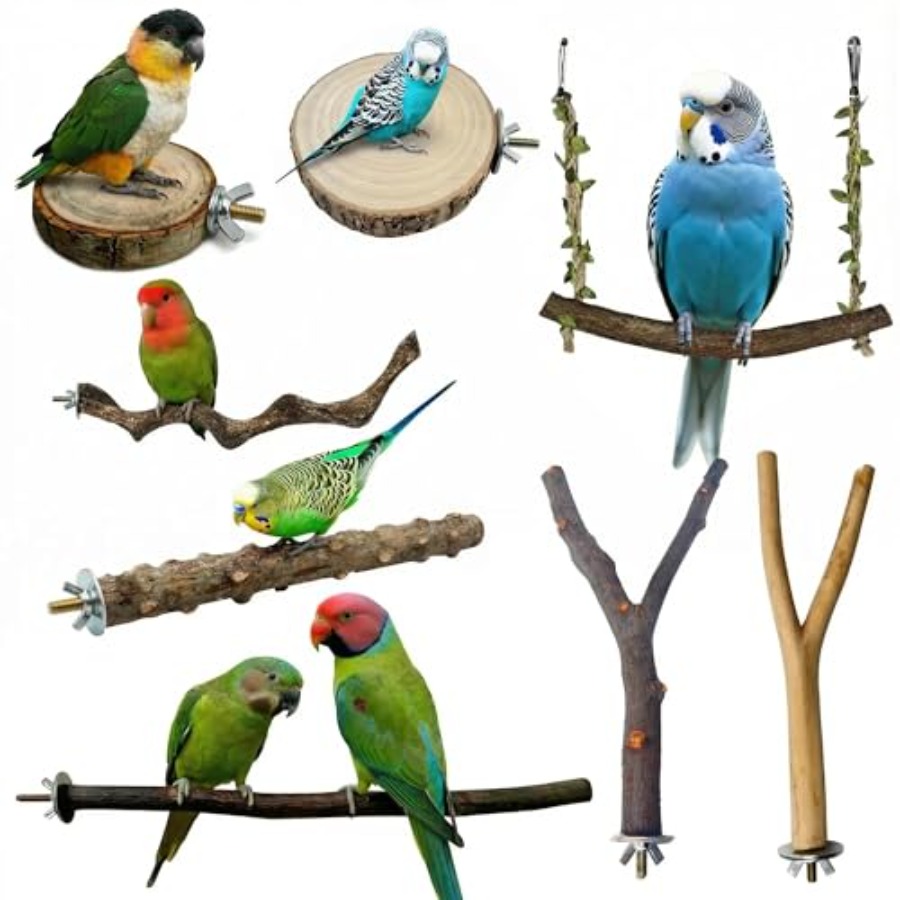 Health & Wellness Resources - 8 stuks natuurlijke houten vogelzitstokken voor